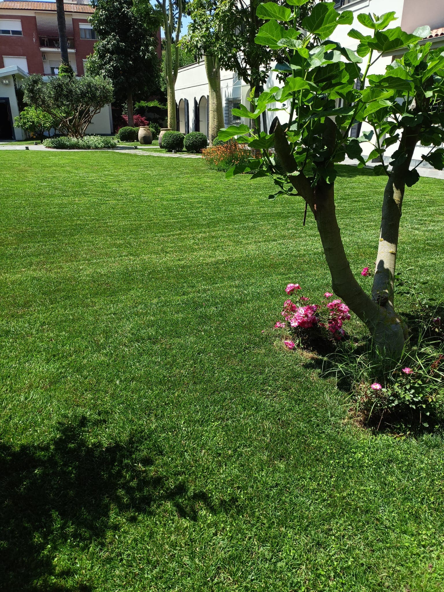 Giardino curato Zecchi Multiservizi